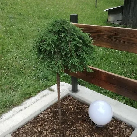 Obersäuling Im Sommer *