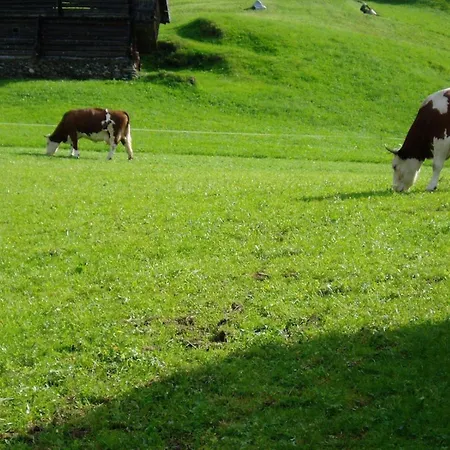 Obersaeuling Im Sommer *