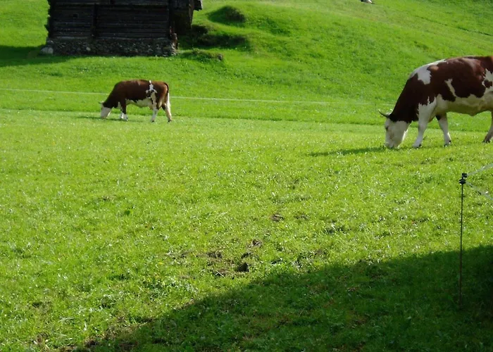 Obersaeuling Im Sommer *
