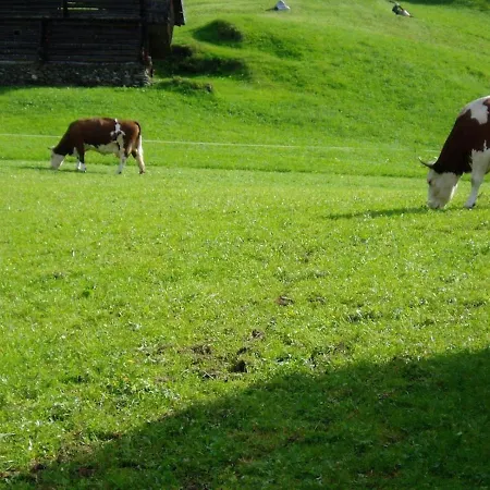 Holiday home Obersaeuling Im Sommer Stummerberg